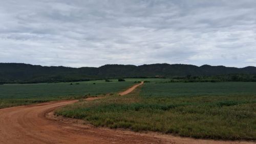 Fazenda de arrendamento 700hec e Rosário do oeste MT. 