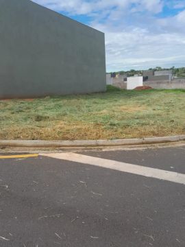 Terreno Padrão em São José do Rio Preto
