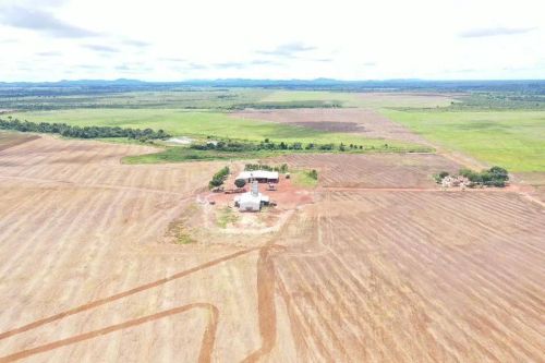 Fazenda arrendamento plantado já 1.700hec em Vila Rica MT.  Assume a planta 