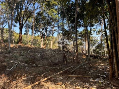 Terreno à venda, 1904,86 m² por R$ 760.000 - Braunes - Nova Friburgo/RJ