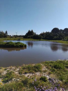 Vendo chácarra na Barra do Chuí brasil. 2km da praia 