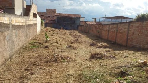 Aluguel Commercial / Land Lot Congonhas MG