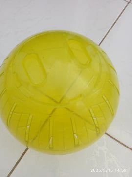 Bola porquinho ramster etc nunca usada 