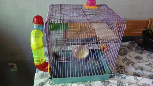 Gaiola para hamstes e roedores com acessórios