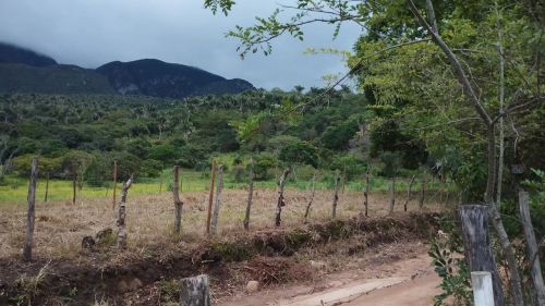 Terreno a Venda em Itaitu 
