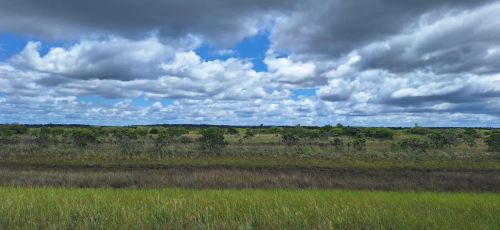 Oportunidade IMÓVEL RURAL 44 ha, plana, Belmonte BA