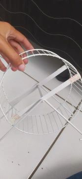 Roda para hamster brincar