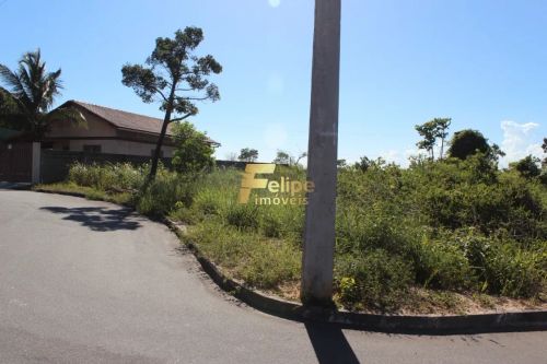 TERRENO AMPLO E LINEAR EM UBÚ!
