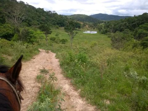 Fazenda em mundo novo 