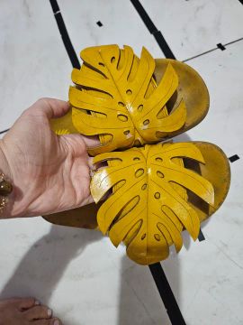 Chinelo farm costela de Adão Amarelo