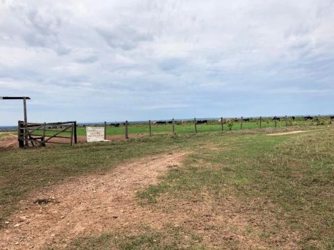 Fazenda de arrendamento 7.600hc planta está em pasto, em Alto Garça valor combinar 