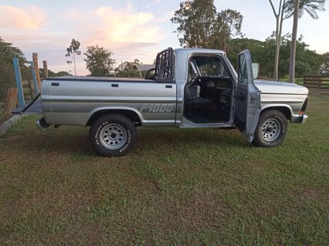 Camionete F1000