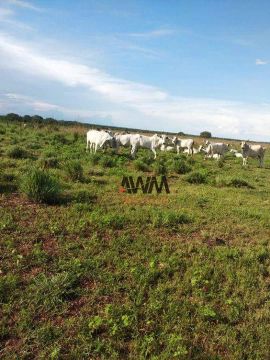 Fazenda à venda,  m² por R$ 200.000.000,00 - Zona Rural - Duerê/TO