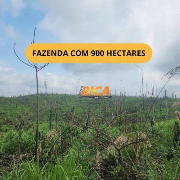 Vende-se uma Excelente Fazenda de 900 Hectares em Apuí/AM