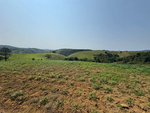 Troco ou Vendo Terreno com 4.5 hectares 