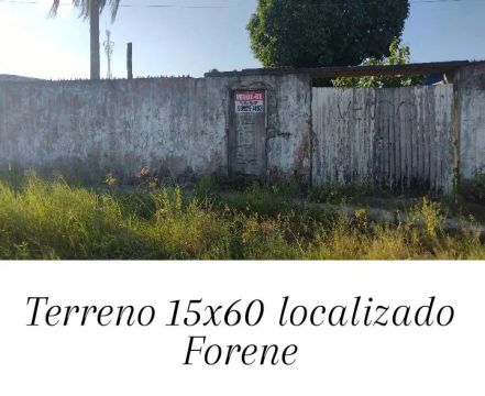 Terreno localizado na Forene 