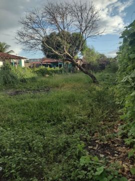 VENDO LOTES  ILHA 5.000 + 48 X  458,00 OU TROCO  