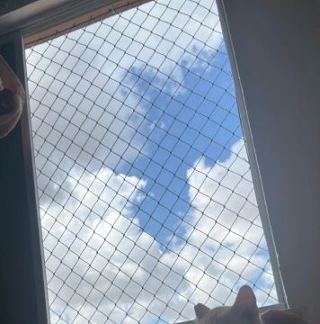 Rede de proteção de polietileno