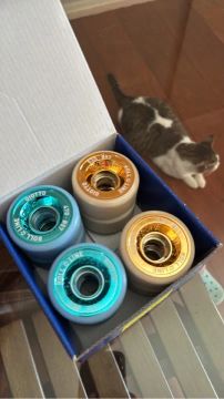Rodas de Skate Roll Line 57mm
