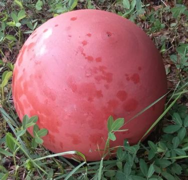 Bola cerâmica para decoração de jardim 