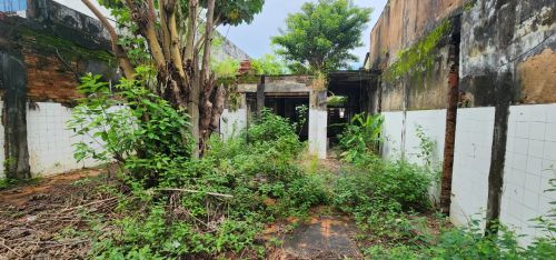 Terreno - 550 m² - Brotas - Comercial ou Residencial
