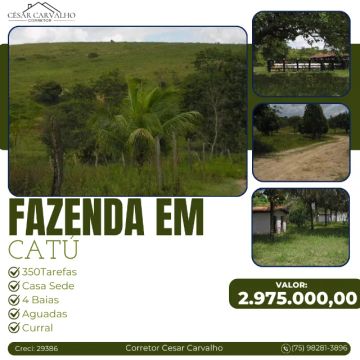FAZENDA EM CATÚ - 350 TAREFAS