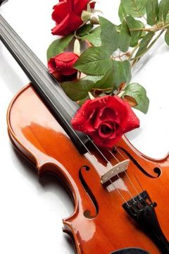Aula de violino a domicilio