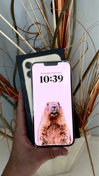 iPhone 13 Pro Max 256gb Gold - Zeradooooo