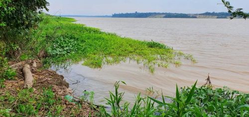 Vendo uma área de 10 hectares ao lado da hidrelétrica São Antônio