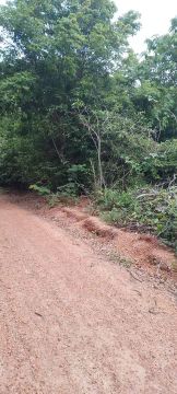 Terreno com área verde em local tranquilo .FICA NA ZONA RURAL DE TERESINA