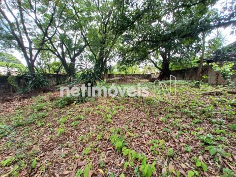 Venda Lote-Área-Terreno Copacabana Belo Horizonte