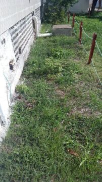 3 lotes de terreno no melhor trecho do bairro.