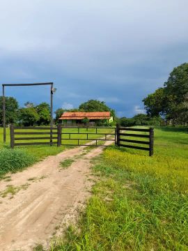 Vendo fazenda de 172 hectares a 35km de Cuiabá na MT 010 estrada da Guia.