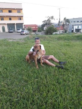 Fila pra adoção 