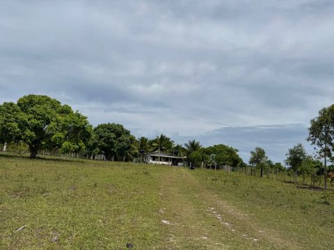 Sítio,chácara,fazenda em área rural com uma casa