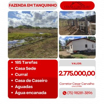 FAZENDA EM TANQUINHO - 185 TAREFAS