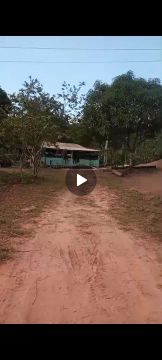 Sítio com casa, pomar e área verde