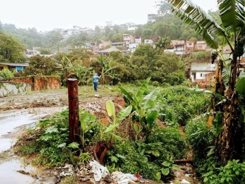 Lote em Rua Maritaca - Recreio da Borda do Campo - Santo André/SP
