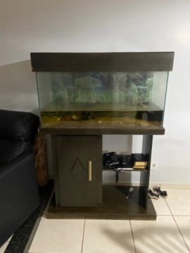 Aquário 