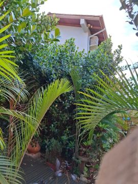 Alugue a Casa Lavanda: Seu Refúgio Perfeito!
