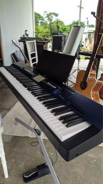 Teclado Casio Privia PX-560