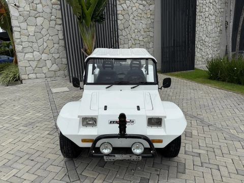 Buggy Magnata Branco Ano 1993
