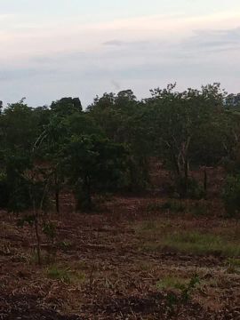 sitio a venda