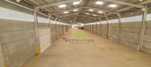 Barracão para alugar, 5050 m² por R$ 126.250,00/mês - Jardim dos Estados 2 - Piraquara/PR