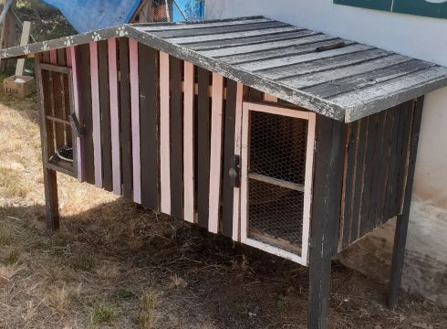 Galinheiro para aves