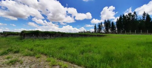 Área Urbana de 10.000m² totalmente plano e cercado