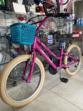 Bicicleta Infantil Aro 20 Thor