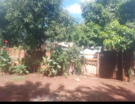 Vende-se comodato no município de Terenos 