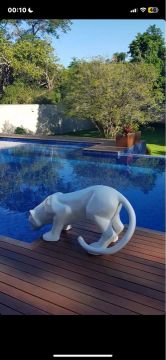 Escultura de pantera Branco para Decorar sua Casa