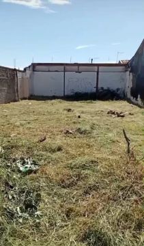 TERRENO 250 m2 - BAIRRO PALMITAL
